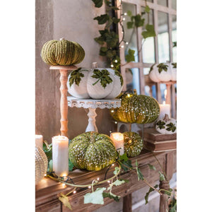 Zucca decorativa