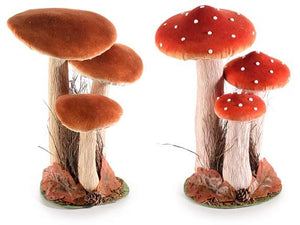 Funghi decorativi