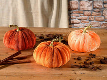 Carica l&#39;immagine nel visualizzatore di Gallery, Zucca decorativa
