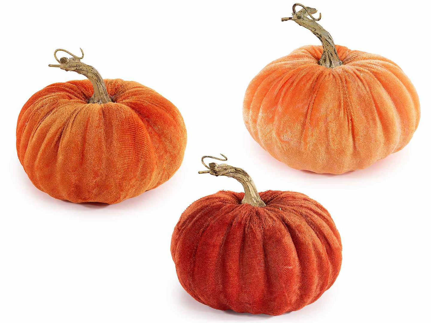 Zucca decorativa